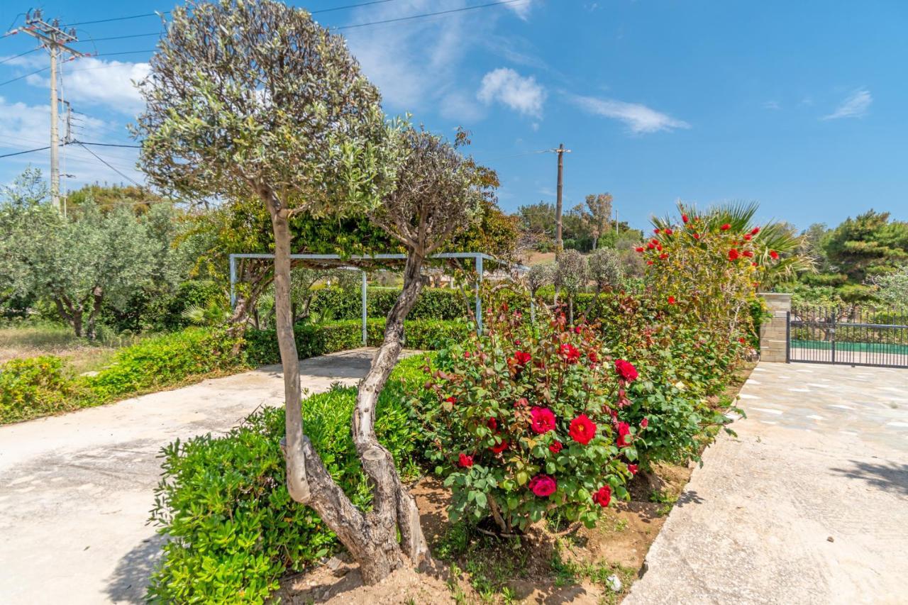 Legrena Beach House Kaap Soenion Buitenkant foto